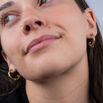 Image de diapositive